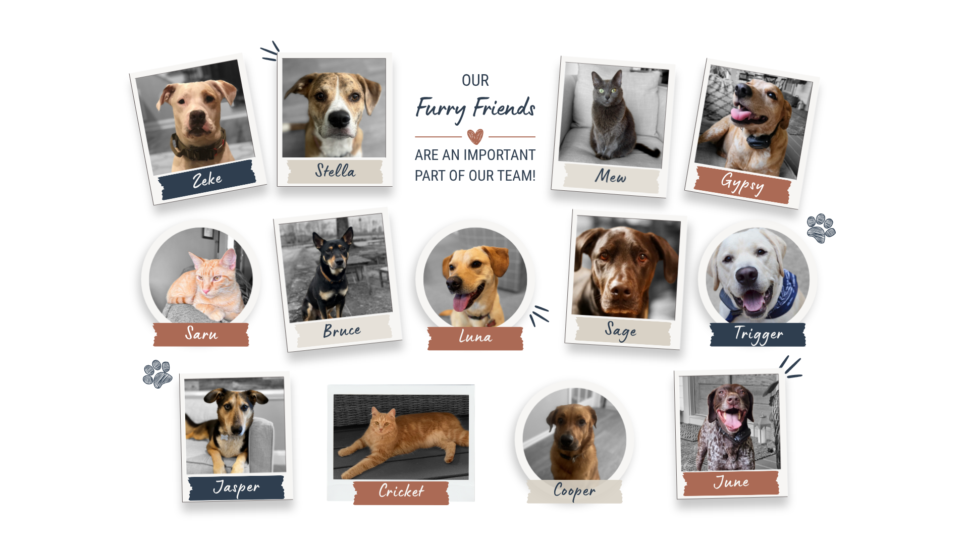 A collage of eleven pets, including dogs and cats, each labeled with their name in Polaroid-style frames.